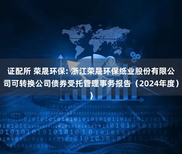 证配所 荣晟环保: 浙江荣晟环保纸业股份有限公司可转换公司债券受托管理事务报告（2024年度）