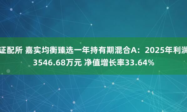 证配所 嘉实均衡臻选一年持有期混合A：2025年利润3546.68万元 净值增长率33.64%