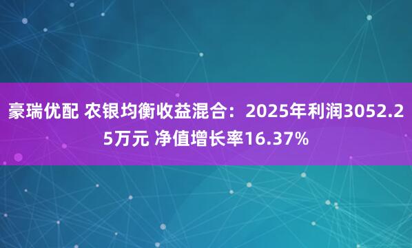 豪瑞优配 农银均衡收益混合：2025年利润3052.25万元 净值增长率16.37%