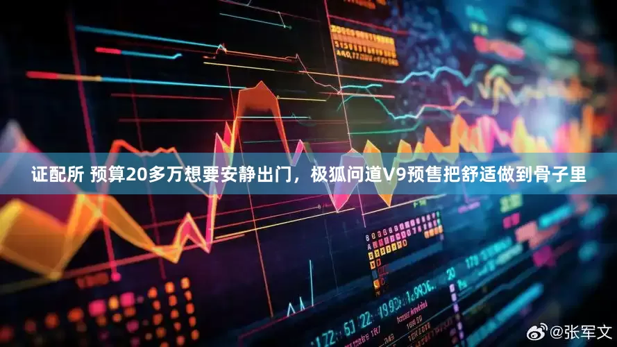 证配所 预算20多万想要安静出门，极狐问道V9预售把舒适做到骨子里